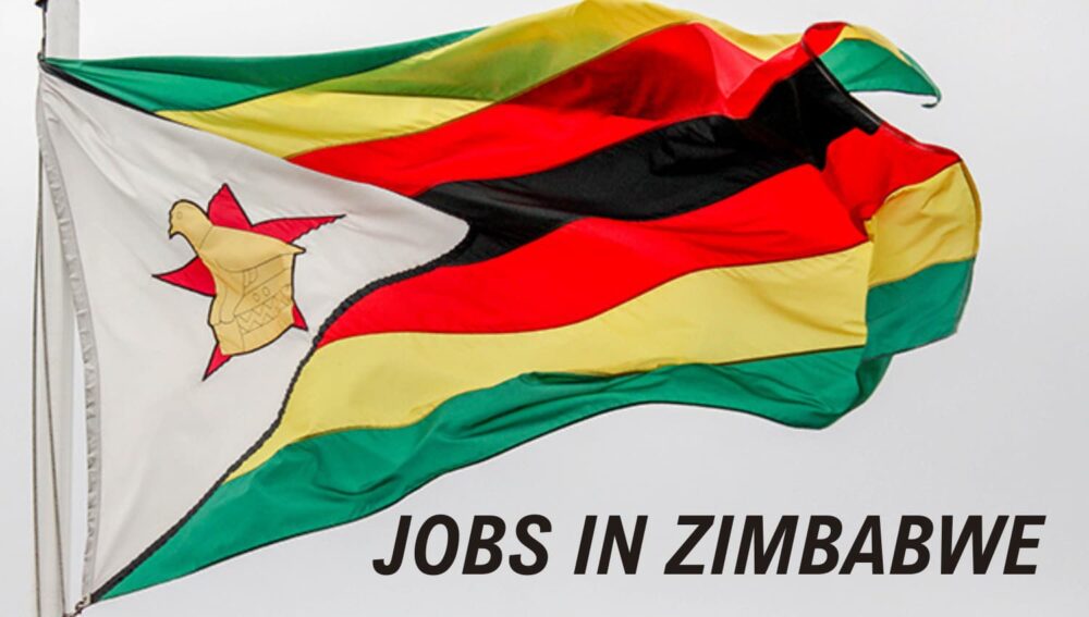 Zimbabwe Skill Shortage Jobs With Work Visa
